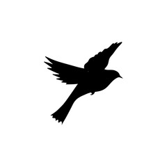 Flying bird silhouettes