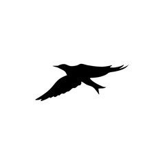 Flying bird silhouettes