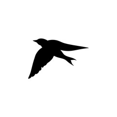 Flying bird silhouettes