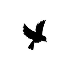 Flying bird silhouettes