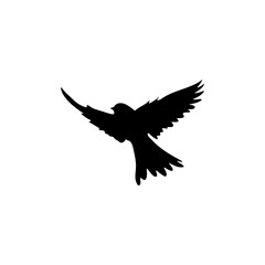Flying bird silhouettes