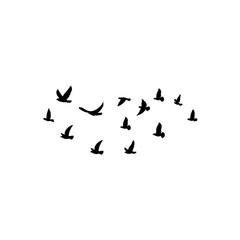 Flying birds silhouette flock. Vector illustration 