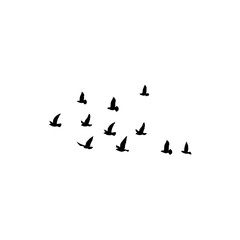 Flying birds silhouette flock. Vector illustration 