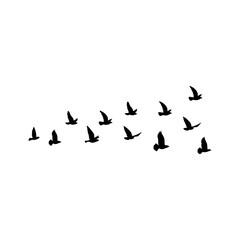 Flying birds silhouette flock. Vector illustration 