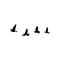 Flying birds silhouette flock. Vector illustration 
