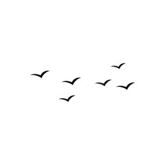 Flying birds silhouette flock. Vector illustration 