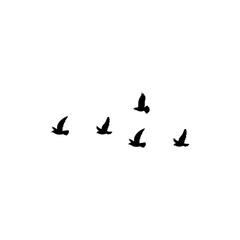 Flying birds silhouette flock. Vector illustration 