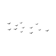 Flying birds silhouette flock. Vector illustration 