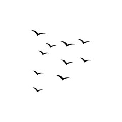 Flying birds silhouette flock. Vector illustration 
