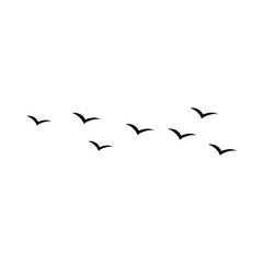 Flying birds silhouette flock. Vector illustration 