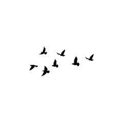 Flying birds silhouette flock. Vector illustration 