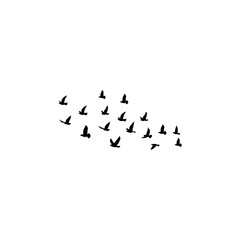 Flying birds silhouette flock. Vector illustration 