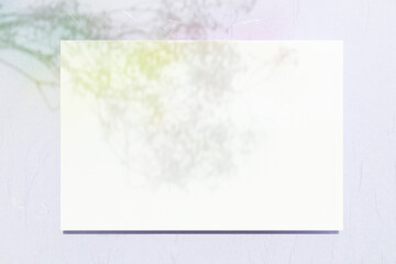 Obraz premium 몽환적인 칼라와 카드 목업