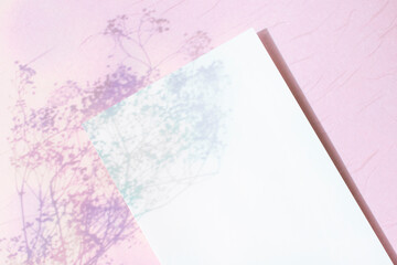 몽환적인 칼라와 카드 목업