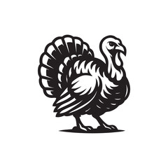 turkey vector illustration