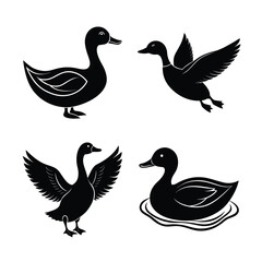Set of Duck Silhouette Vector on White Background