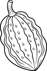 bitter gourd outline on white background