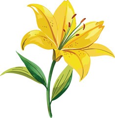 Hand-drawing Watercolor Painting of a Single Yellow Lily Blossom with Detailed Petals 