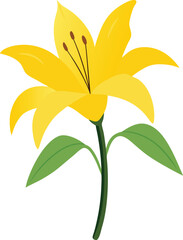 Hand-drawing Watercolor Painting of a Single Yellow Lily Blossom with Detailed Petals 
