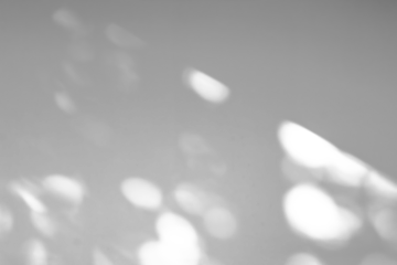 Abstract natural tree leaves shadow on white wall background