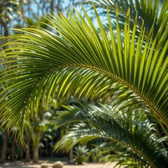 Obraz premium Vibrant Green Palm Fronds, Tropical Background