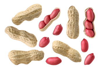 Peanuts and seed isolated, transparent PNG, PNG format, cut out, collection