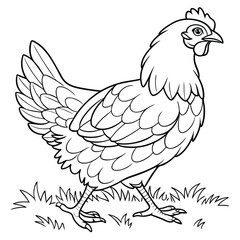 Obraz premium hen and rooster