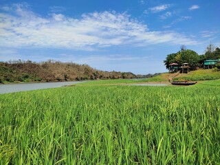 A picturesque landscape featuring a grassy field, a peaceful lake, and a clear sky.