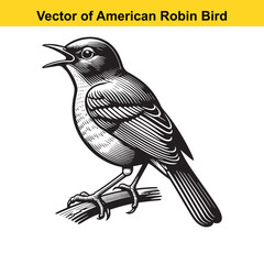 Naklejka premium American Robin Line Art Vector – Vintage Tattoo Style Bird Illustration for T-Shirts, Logos, Decals