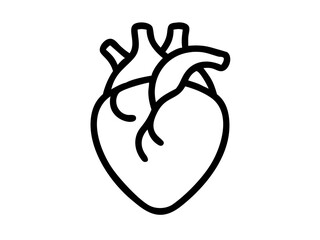 Anatomical Heart line art vector, Heart icon outline drawing vector illustration