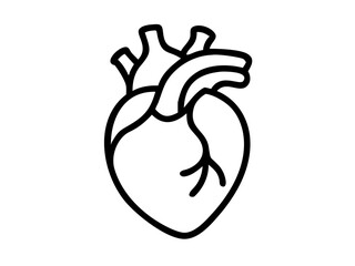 Anatomical Heart line art vector, Heart icon outline drawing vector illustration