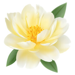 Fototapeta premium Elegant Pale Yellow Flower with Green Leaves on a White Background, isolated on transparent background.