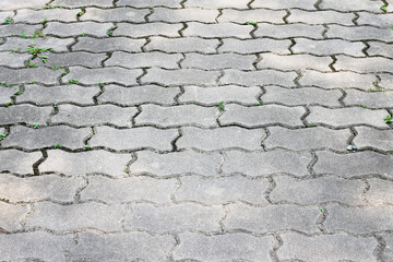Gray pavement patio with green grass growing on background
