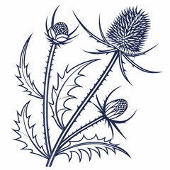 black and white flowers