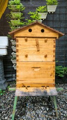 Close-up of wooden beehive in the garden, showcasing beekeeping practices and natural habitat for honeybees, rural sustainable apiculture