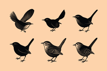 Carolina Wren bird, silhouette vector illustration