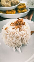 Aromatic White Rice Delight Topped with Crispy Fried Shallots on Plate