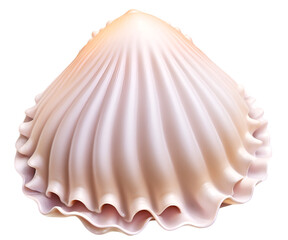 Detailed Illustration of a Cozy Seashell with a Luminous Pearl-like Glow, Capturing its Natural Form and Textured Surface, Perfect for Coastal Decor or Artistic Projects