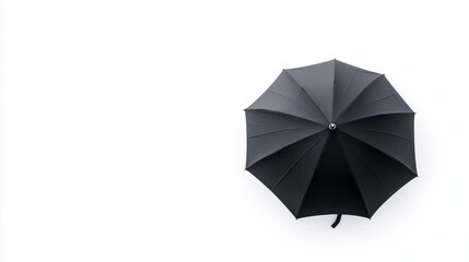 Top-down PNG-style umbrella image with full canopy visible over a stark white background, showcasing shelter