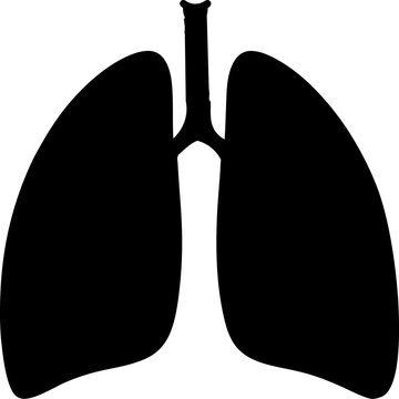 recommend clip art: Human lungs vector icon.
