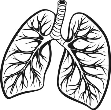 recommend clip art: Human lungs vector icon.