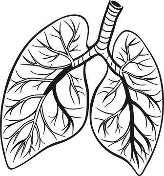 recommend clip art: Human lungs vector icon.