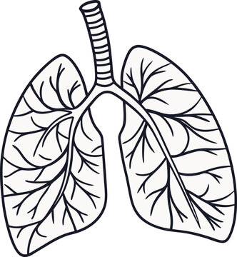 recommend clip art: Human lungs vector icon.