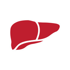 hepatology colored icon