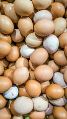 Fresh Brown and White Eggs in Abundance, A Healthy Protein Source