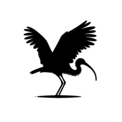 Obraz premium ibis silhouette