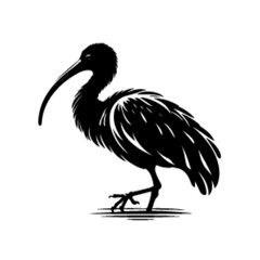 Obraz premium ibis silhouette