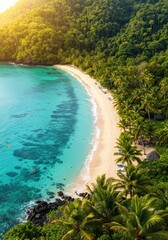 Aerial View of a Secluded Tropical Beach
