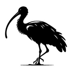 Obraz premium ibis silhouette