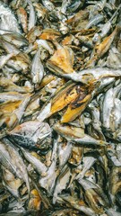 A Plethora of Dried Fish Displayed in a Market Stall, Ready for Culinary Adventures and Gourmet Delights